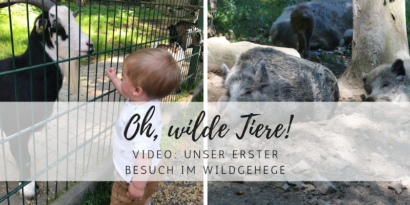 Video: Arthurs erster Besuch im Tierpark