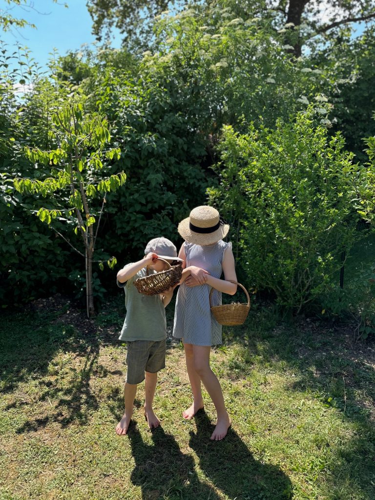 Superleckeres Holunderblüten-Gelee-Rezept mit Orangensaft und Blüten im ...