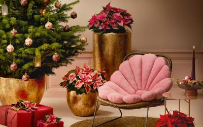 Weihnachtsdeko-Trends 2025 – Die schönsten neuen Ideen für dein Zuhause