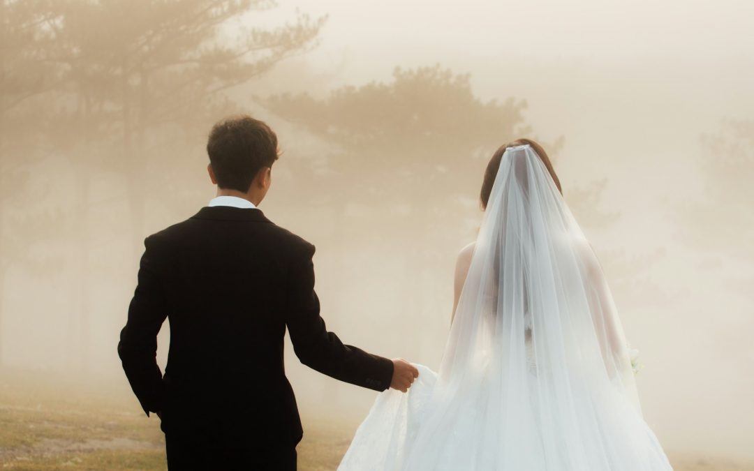 Braut und Braeutigam von hinten, gehen Hand in Hand durch eine neblige Landschaft