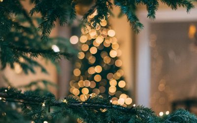 Erstes Weihnachten nach einem Todesfall: 20 tröstende Sätze