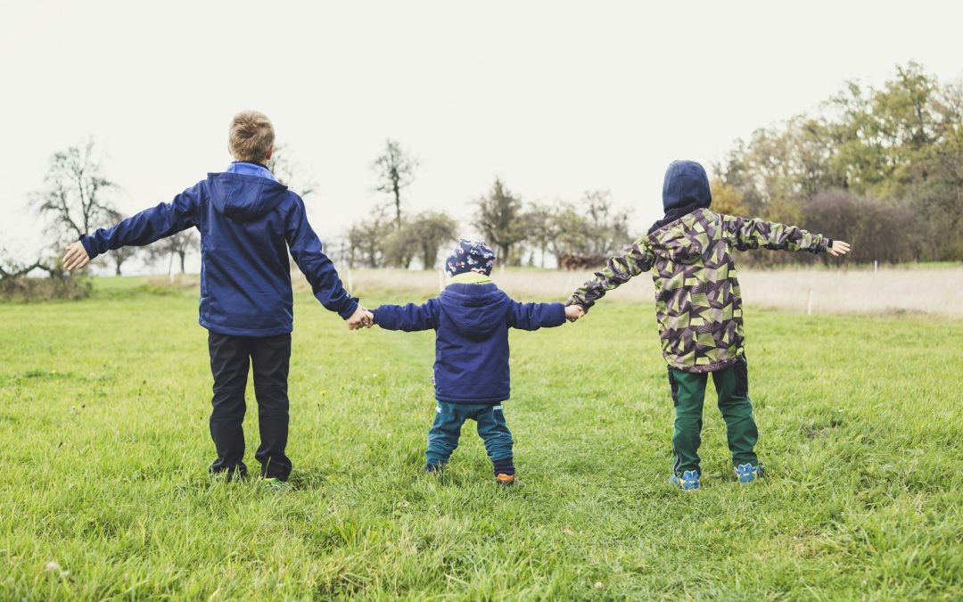 Drei Kinder stehen Hand in Hand auf einer Wiese, von hinten fotografiert